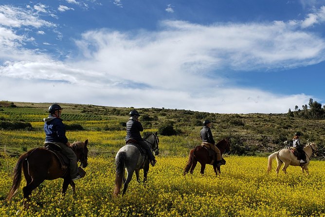 Horseback Tour in cusco to Temple of the Moon & Hidden temples - Price and value: what $65 really buys you