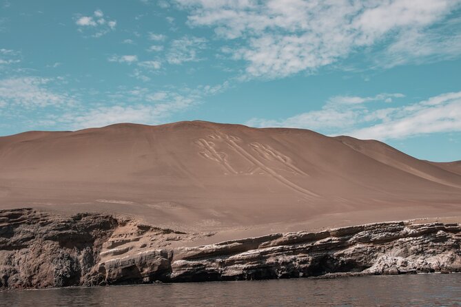 Huacachina & Paracas Full Day Tour with Sandboarding & Ballestas - Ballestas Islands: wildlife, rock formations, and El Candelabro