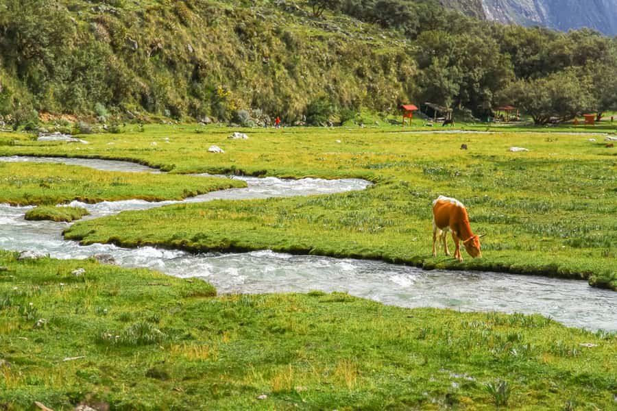 Huaraz: 3-hour Trek to Laguna 69 with Optional Lunch - The descent and return to Huaraz
