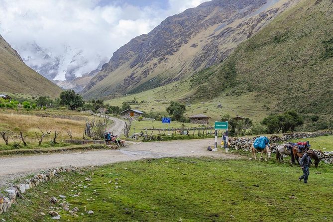 Humantay Lake Tour - Private Service - Why Humantay Lagoon Draws People From Cusco
