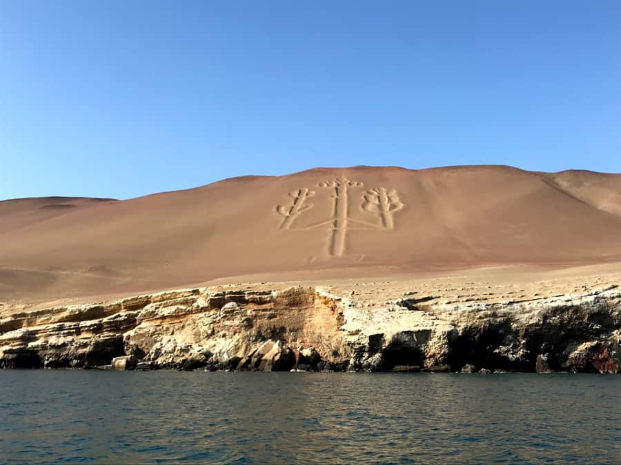 Ica: Ballestas Island & Paracas Reserve Private Tour - Quick hits before you go