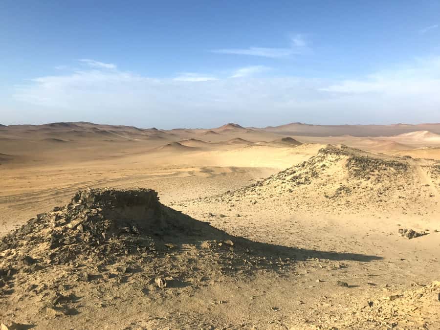 Ica: Ballestas Island & Paracas Reserve Private Tour - Who this tour fits best, and who should skip it