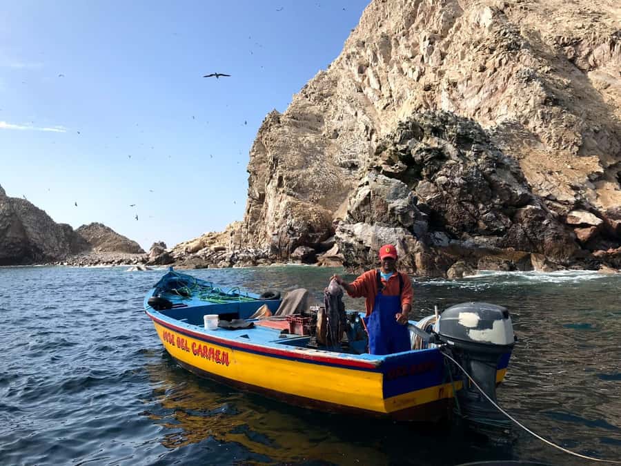 Ica: Ballestas Island & Paracas Reserve Private Tour - Candelabro on the Paracas Peninsula, a glyph with no easy answer