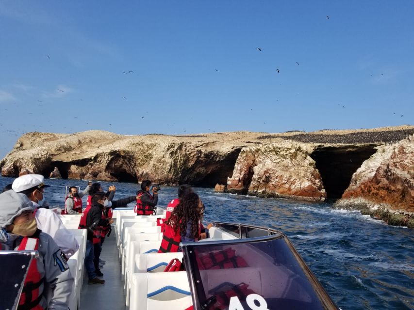 Ica: Ballestas Island & Paracas Reserve Private Tour - Packing and practical tips that make a difference