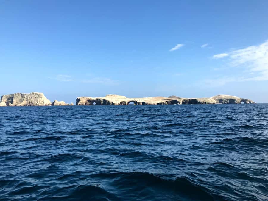 Ica: Ballestas Island & Paracas Reserve Private Tour - Speedboat to Ballestas Islands, seals, penguins, and birds