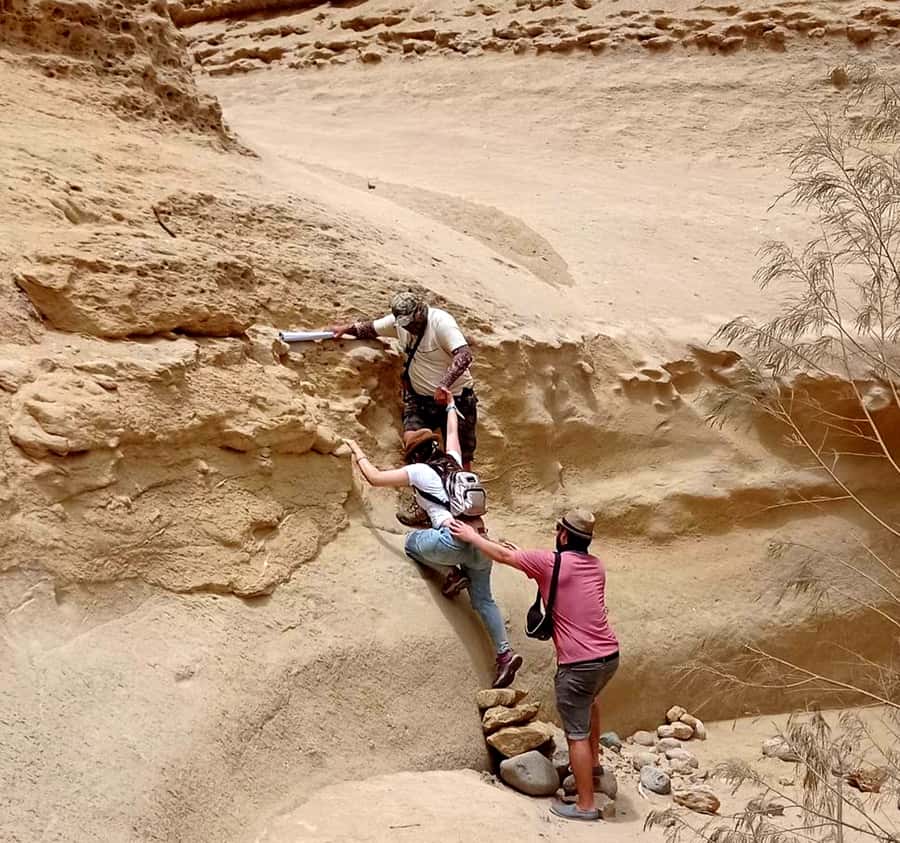 Ica: Canyon of the Lost Tour in Ocucaje Desert - The 1.5-Hour Descent: Fossil Remains, Steady Steps, and Canyon Views