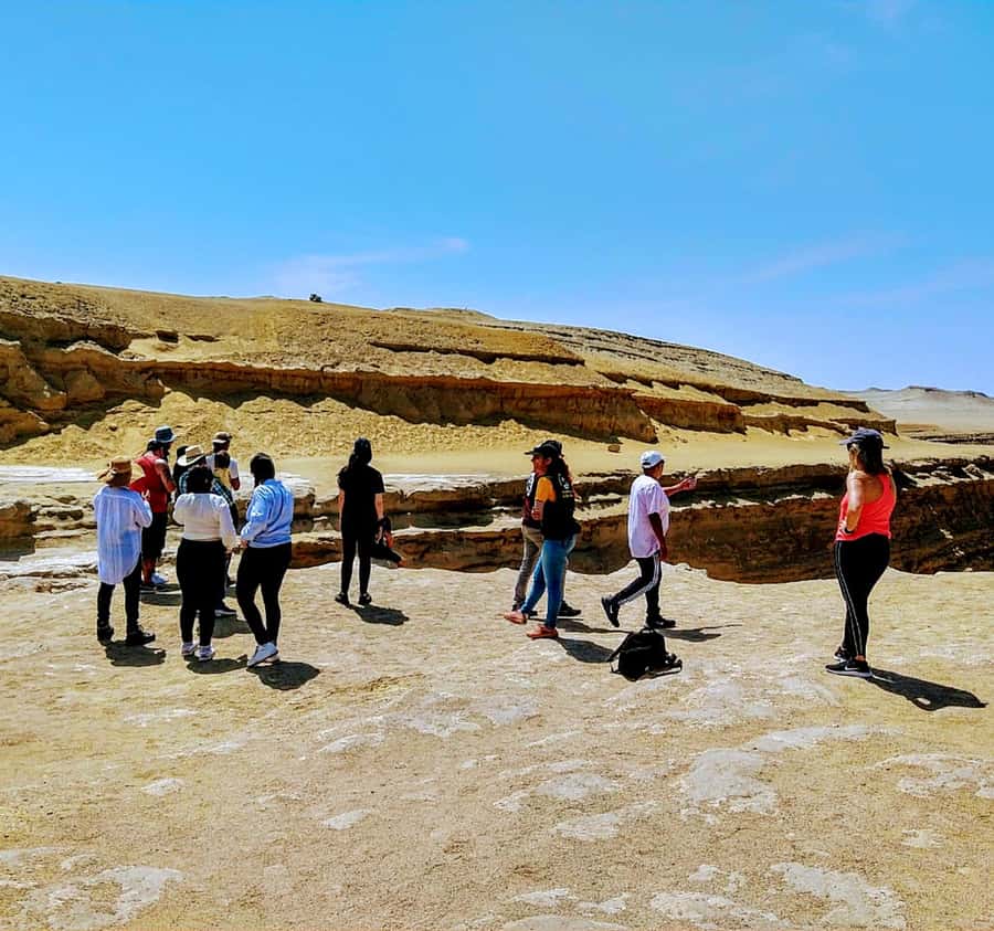 Ica: Canyon of the Lost Tour in Ocucaje Desert - Guide and Group Size: What to Expect From the Human Part