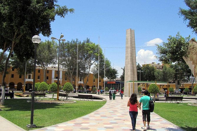 Ica City Tour + Buggies & Sandboarding - Cachiche witches park and the famous 7-headed palm tree