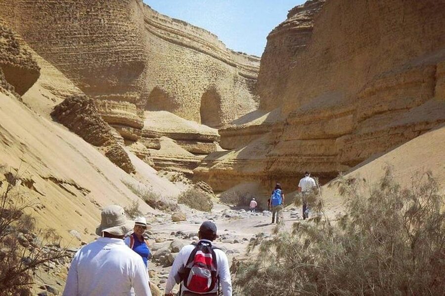 Ica / Huacachina : Canon de los Perdidos - Ica's Hidden Gem - Winery Stop in Ica: Piscos, Artisanal Wines, and a Breather