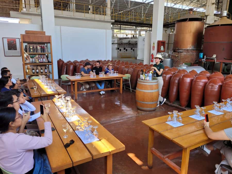 ICA: Pisco and Wine Route with tasting in 03 Wineries - Key things I’d pencil into your day