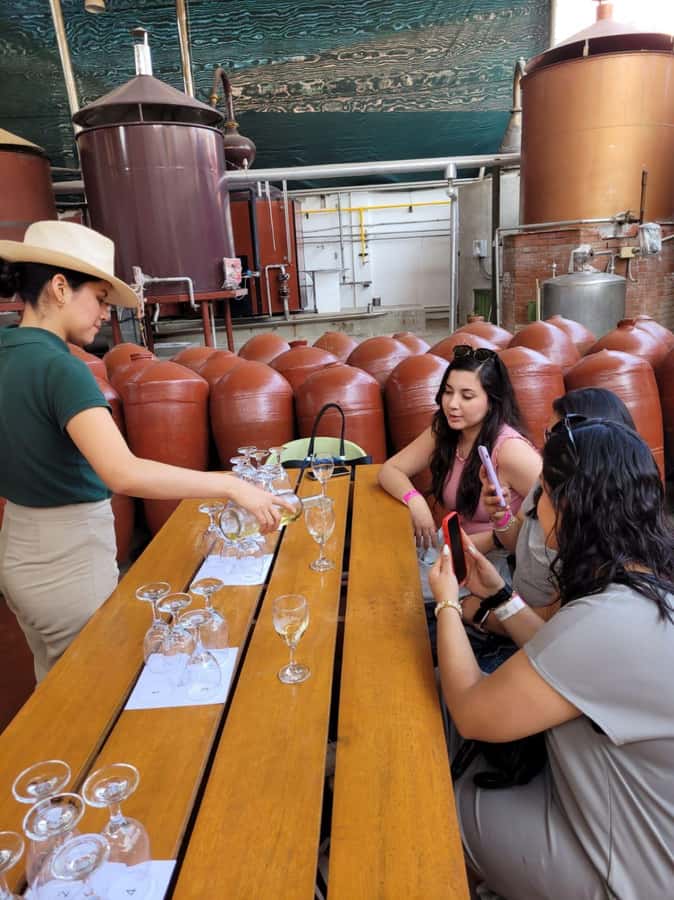 ICA: Pisco and Wine Route with tasting in 03 Wineries - Ica pisco and wine, explained in plain language