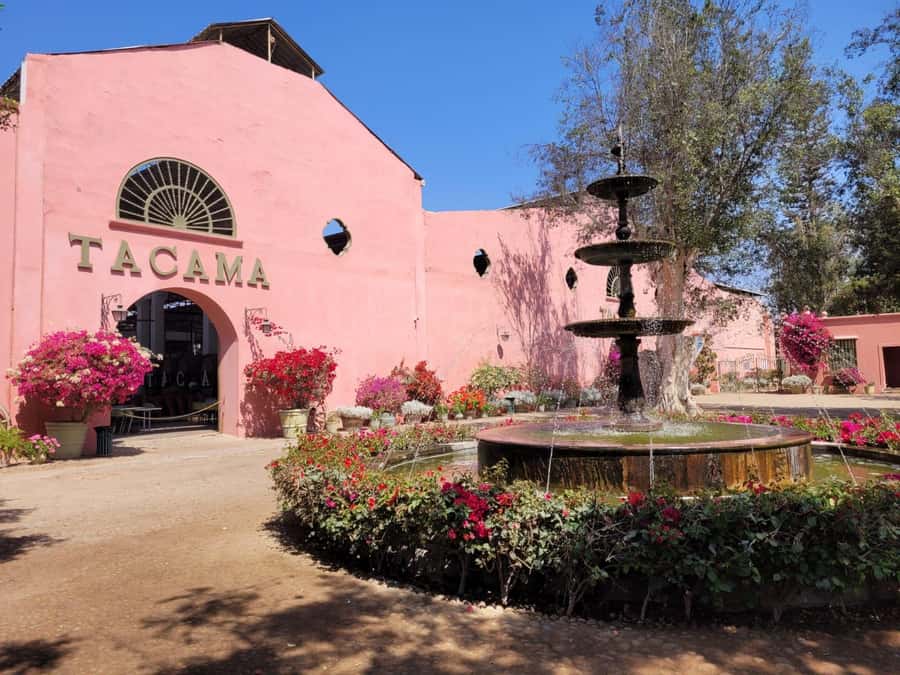 ICA: Pisco and Wine Route with tasting in 03 Wineries - The first stop at Hacienda TACAMA, where pisco starts to click