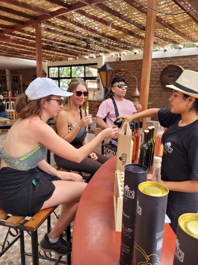 ICA: Pisco and Wine Route with tasting in 03 Wineries - Guided tour and expert tasting, learning to separate aroma from flavor