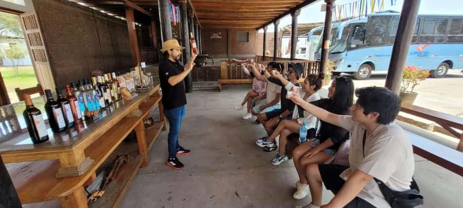 ICA: Pisco and Wine Route with tasting in 03 Wineries - Vineyard time: grape varieties and the views you can actually use