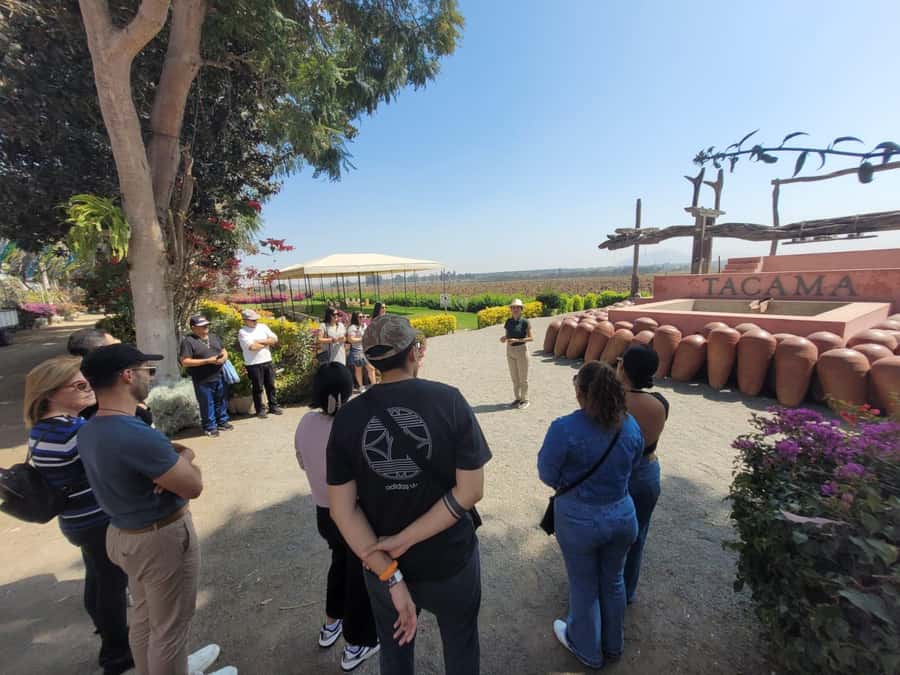 ICA: Pisco and Wine Route with tasting in 03 Wineries - Second winery tasting and food pairing that ties the day together