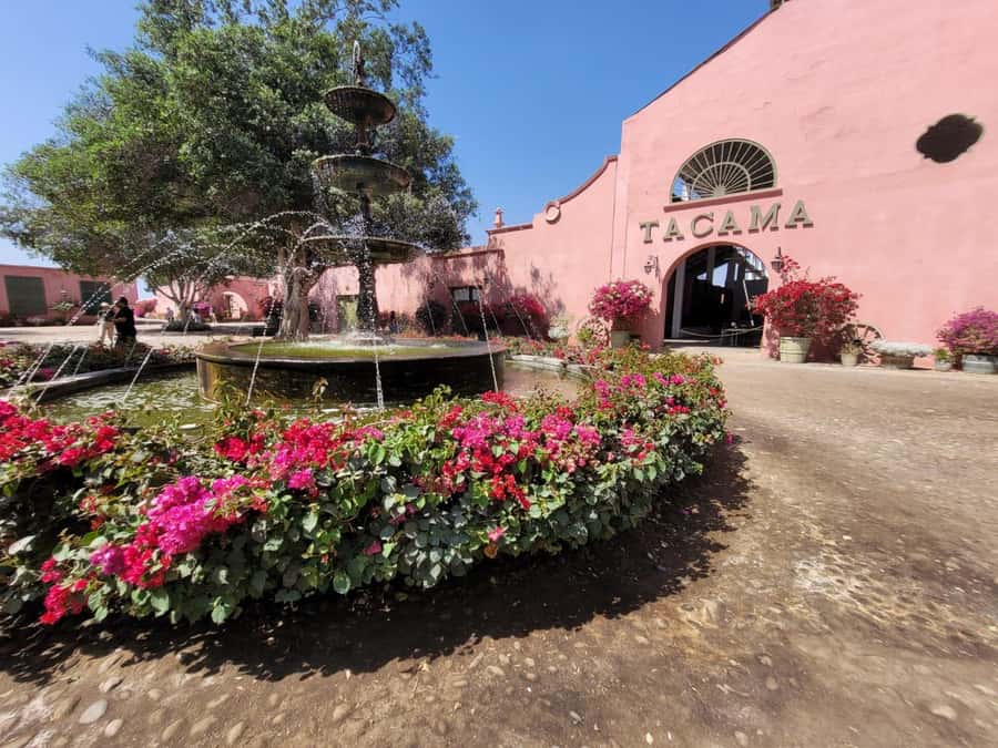 ICA: Pisco and Wine Route with tasting in 03 Wineries - Price and value: what $29 per person really buys