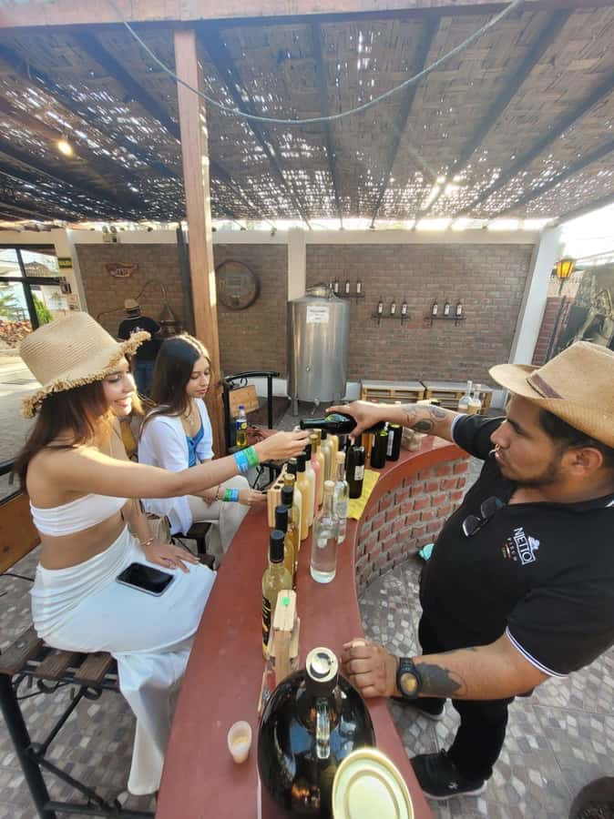 ICA: Pisco and Wine Route with tasting in 03 Wineries - Who this tour fits best (and who should pick something else)