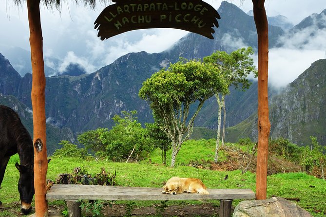 Inca Jungle Premium to Machu Picchu 4-Day and 3-Nights - Day 2 on the high forest Inca route: 4 hours of walking, then warm water recovery