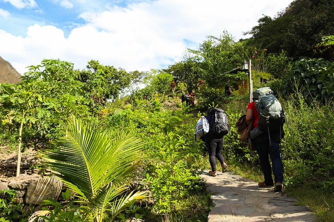 Inca Jungle Premium to Machu Picchu 4-Day and 3-Nights - Zip line in Santa Teresa, suspension bridge, and a light rock climb: fast fun before the final hike