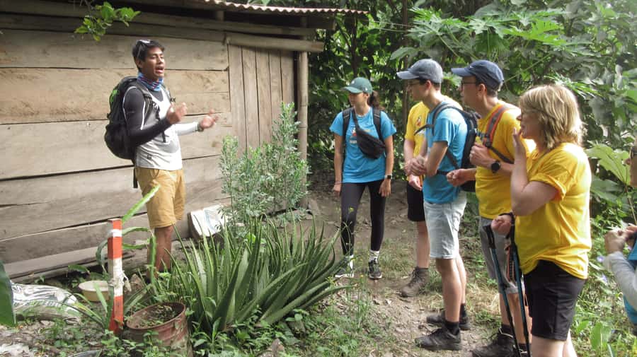 Inca Jungle Trail to Machu Picchu in 4 Days - The real vibe of the Inca Jungle Trail: speed, heat, and timing