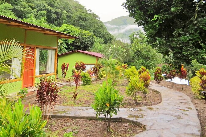Inca Jungle Trek to Machu Picchu in 4-Days - What you’ll eat and how to manage comfort in the jungle