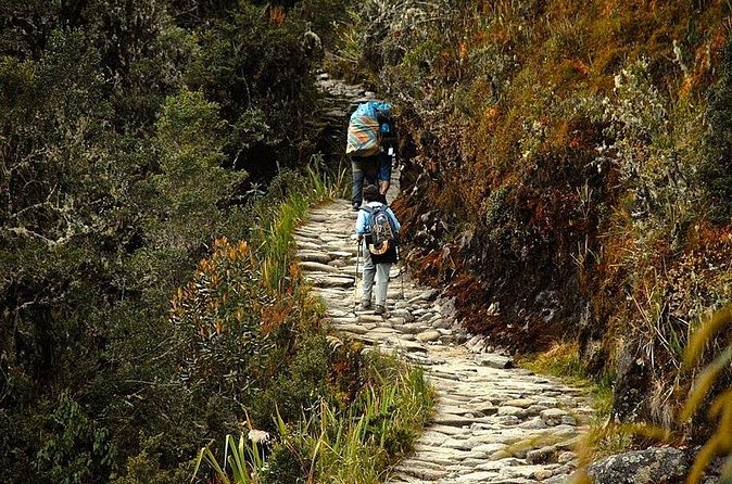 Inca Trail to Machu Picchu (4 Days) - Day 3 to Wiñayhuayna: Inca Stairways, Pass Views, and High Jungle Camp
