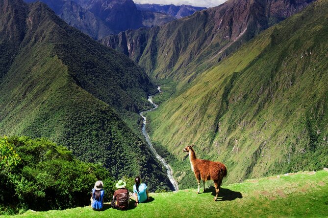 Inca Trail To Machu Picchu - Day 2: Warmiwañusca Pass, Pacaymayo, and Wildlife Lessons