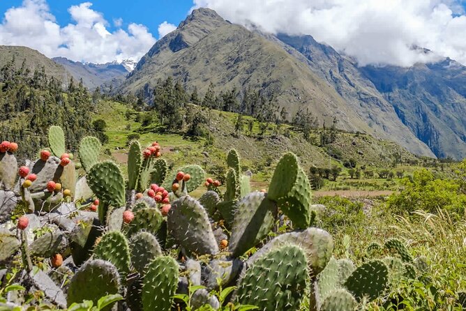 Inka Trail 4 Days to Machupicchu - Camp setup, sleeping comfort, and how to pack for real life