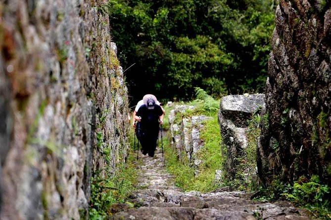 Inka Trail to Machu Picchu Classic 4-Day Adventure - Day 3 through Cloud Forest to Wiñay Wayna: when the trail turns magical