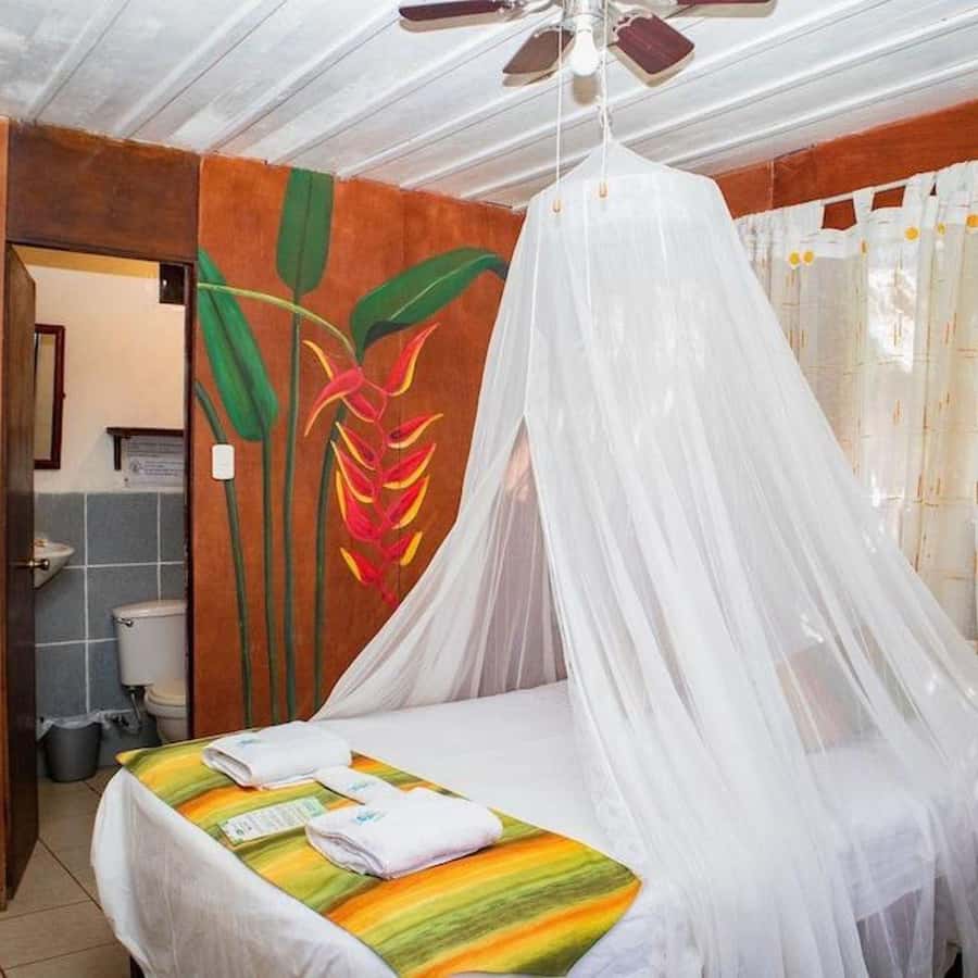 Iquitos: 2 Days and 1 Night Guided Amazon Jungle Tour - Price and Value: What You’re Paying For in Real Terms