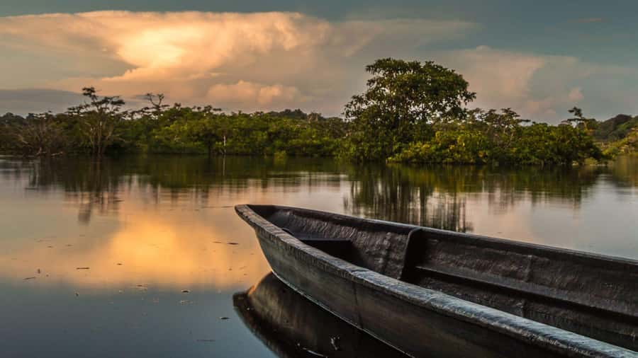 Iquitos: 3 Days and 2 Nights Guided Amazon Jungle Tour - Zipline and Rappel: Suspension Bridges, Mesh Climbing, and 5 Lines