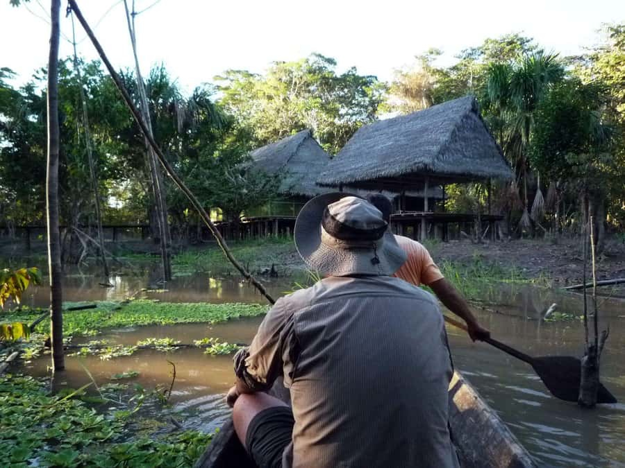 Iquitos: 3 Days and 2 Nights Guided Amazon Jungle Tour - Fundo Pedrito: Your Up-Close Introduction to Amazon Wildlife