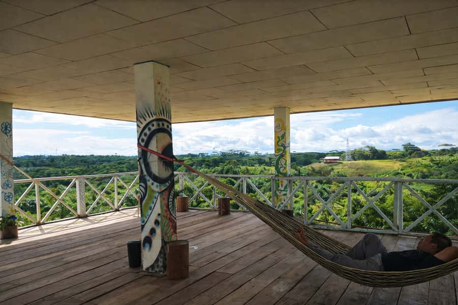 Iquitos: 6-Hour Wonderful Wildlife Guided Tour - Victoria amazonica lily pads and hammock time in the middle of the day