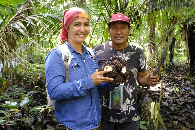 Iquitos: Amazon Adventure: Nature and Wildlife | 2 Days - Jungle Lodge Day 1: Botanical Walk, Lunch, Dinner, and Night Wildlife