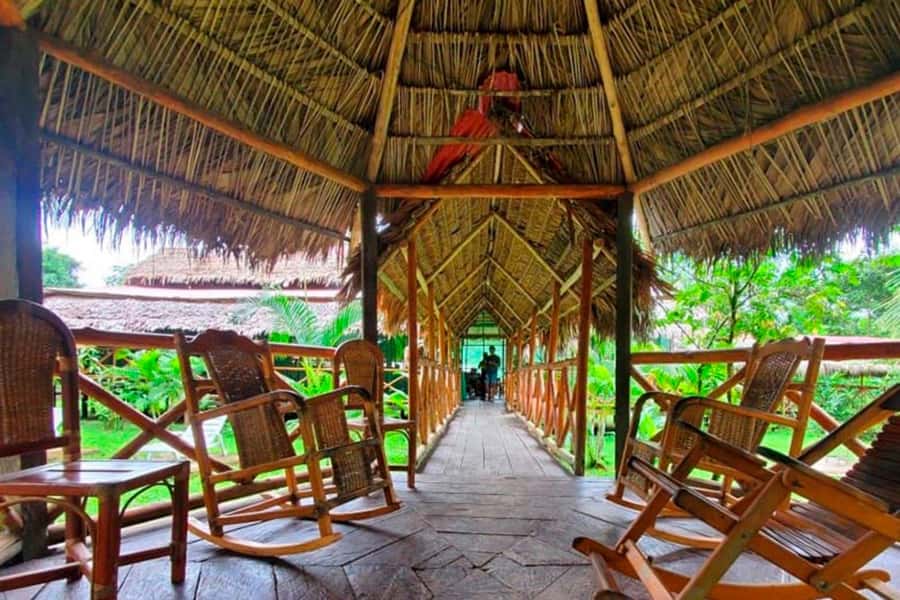 Iquitos: Amazon Jungle in 3 Days: Adventure and Culture - Day 2 at 6:00 AM: Exotic Birds, Animal Rescue, and Gray and Pink Dolphins