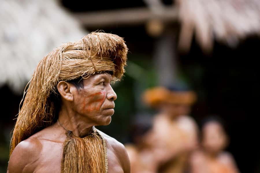 Iquitos: Full Day Tour in the Jungle | Amazon Safari - Monkey Island (Neyser): feeding, playtime, and the limits of a short stop