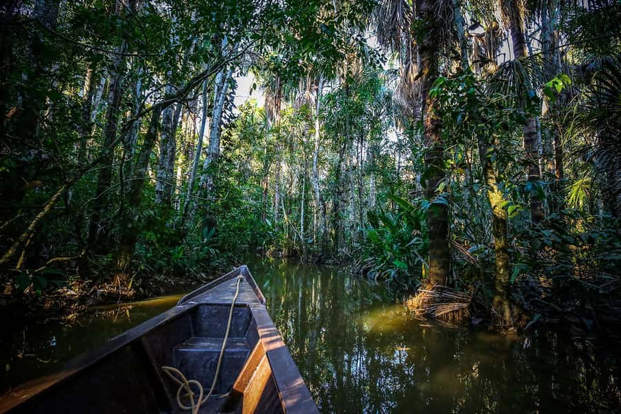 Iquitos: Full Day Tour in the Jungle | Amazon Safari - Lunch at the lodge: typical jungle cuisine and a breather