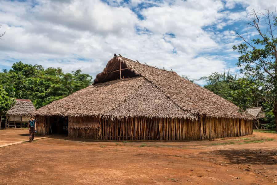 Iquitos: Native Community Experience & Amazon River Tour - The Return Down the Nanay River and How to End on the Right Note
