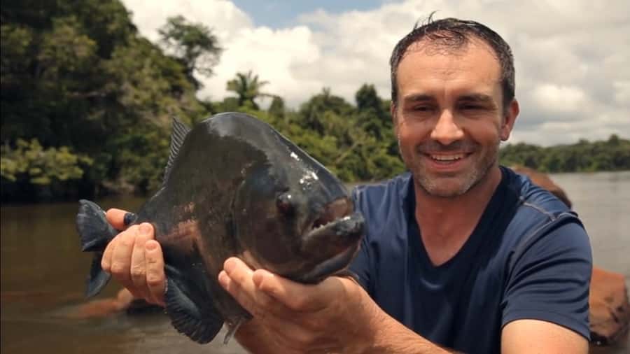 Iquitos: Piranha Fishing Experience in the Amazon jungle - Getting to the water: pickup options and the Boulevard pier meeting point