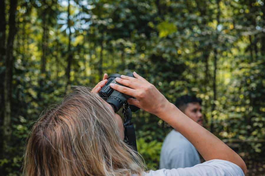 Iquitos to the Amazon: 2-Day Jungle & Wildlife Experience - Itaya-Amazon Crossing Dolphin Search, Then Cruising Toward Río Yanayacu