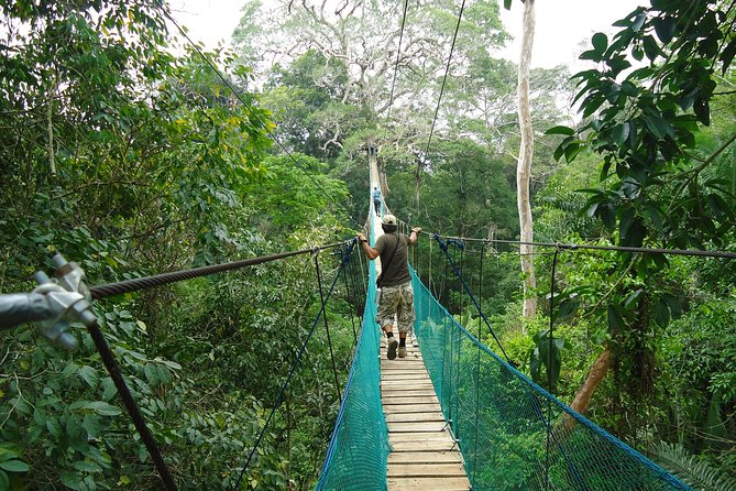 Jungle Eco Jungle And Adventure - 4 Days / 3 Nights - First arrival in Tambopata: lodge welcome, rainforest walk, Monkey Island, and a night alligator hunt
