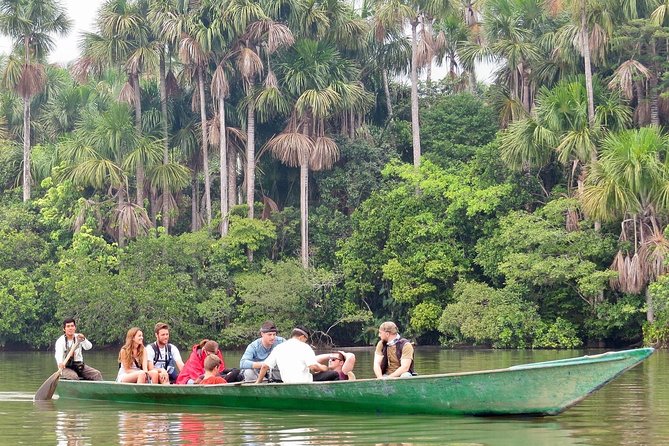 Jungle Eco Jungle And Adventure - 4 Days / 3 Nights - Sandoval Lake by rowboat: piranhas, giant otters that you might spot, and a nocturnal nature walk