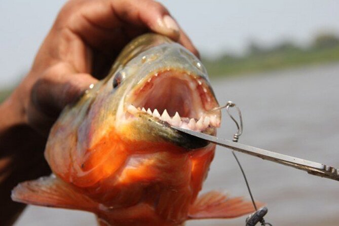 Kukamas Tribe, Butterfly Preserve & Sport Piranha Fishing - All tickets included - Getting picked up, meeting your guide, and heading toward the water