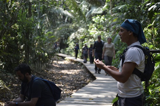 Lake Sandoval National reserve ,hiking and wildlife search - Admission included at the reserve entry
