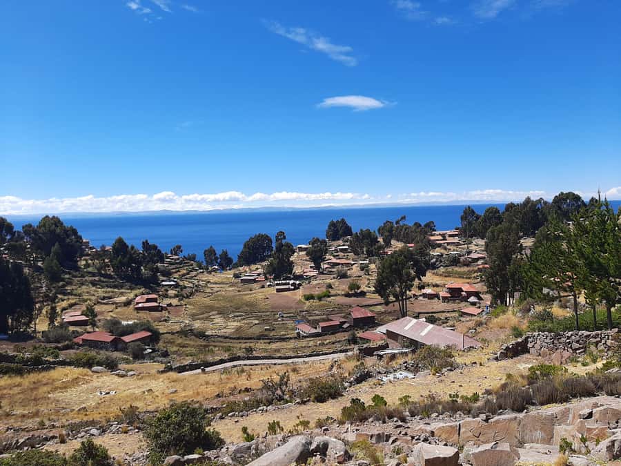 LAKE TITICACA 2-DAY EXCURSION: UROS AMANTANI AND TAQUILE + 3 MEALS - Uros Floating Islands: See How the Lake Builds a Village