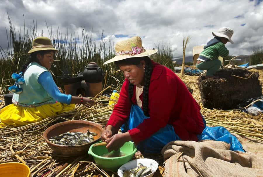 Lake Titicaca, Uros and Taquile Full-Day Tour - Taquile Island: the Quechua community, weaving, and an included village lunch
