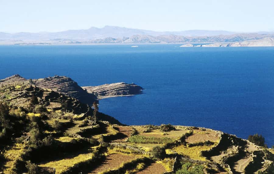 Lake Titicaca, Uros and Taquile Full-Day Tour - Uros floating islands: sugarcane homes and a look at daily water life