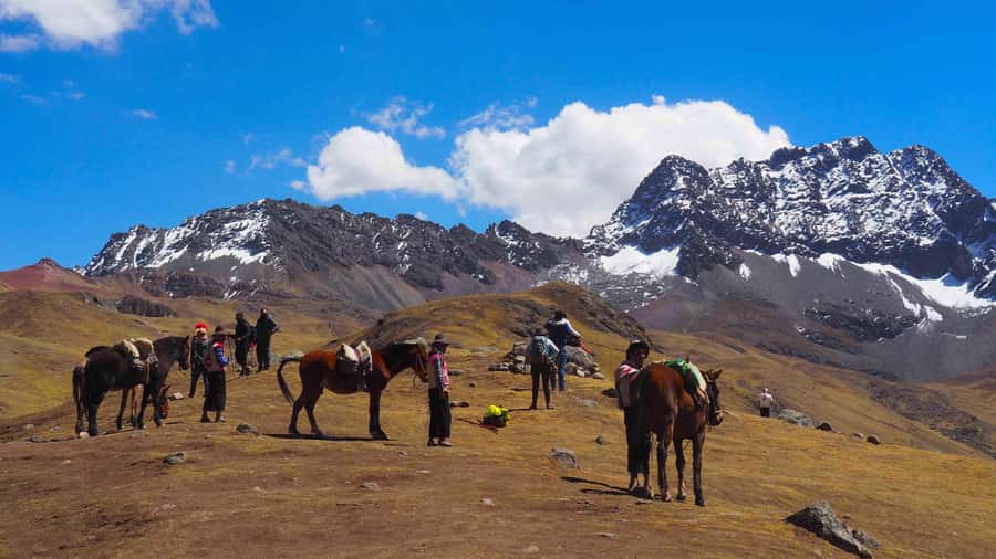 Lima: 7-Day Inca Tour with Flights and Machu Picchu - Lima first: Plaza Mayor, Cathedral views, and Huaca Pucllana