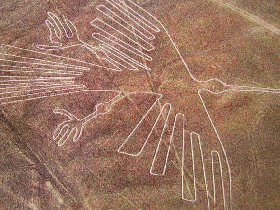 Lima: Ballestas Islands, Huacachina Oasis & Nazca Lines Tour - Key points to know before you go
