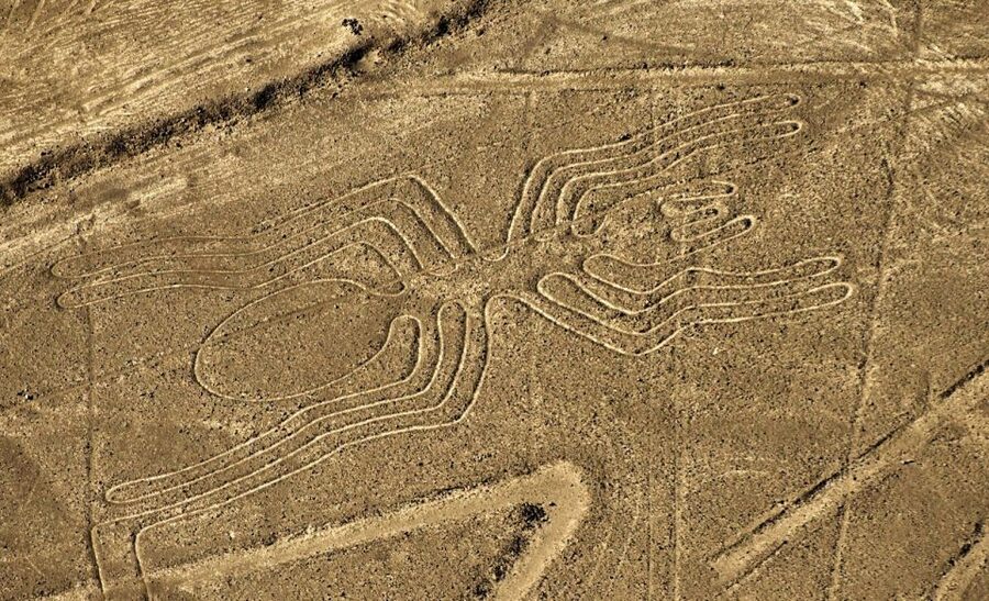 Lima: Ballestas Islands, Huacachina Oasis & Nazca Lines Tour - Quick Booking Check: A few reality notes before you commit